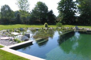 Build a natural swimming pool