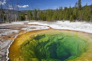 Hike through Yellowstone