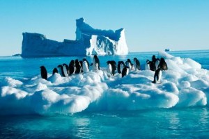 Visit Antarctica