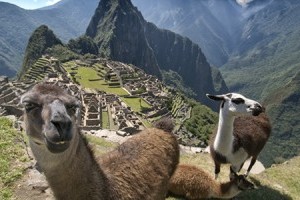 Climb Machu Picchu