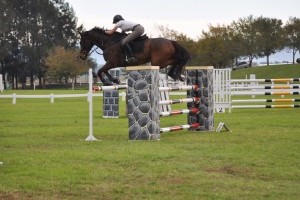 Boss and I showjumping 