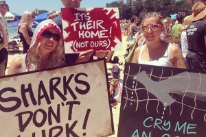 Save our sharks