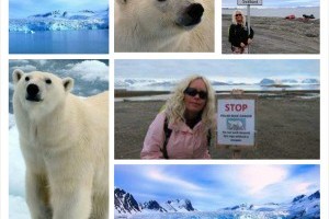 Save the Arctic