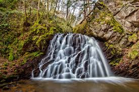 Fairy Glen near Rosemarkie. 